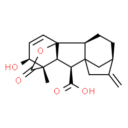 ChemSpider 2D Image | (1S,2S,5R,9S,10S,11S,12S)-12-Hydroxy-11-methyl-6-methylene-16-oxo-15-oxapentacyclo[9.3.2.1~5,8~.0~1,10~.0~2,8~]heptadec-13-ene-9-carboxylic acid | C19H22O5