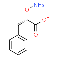 ChemSpider 2D Image | (2S)-2-(Aminooxy)-3-phenylpropanoate | C9H10NO3