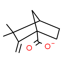 ChemSpider 2D Image | 3,3-Dimethyl-2-methylenebicyclo[2.2.1]heptane-1-carboxylate | C11H15O2