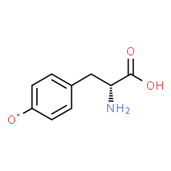 ChemSpider 2D Image | {4-[(2R)-2-Amino-2-carboxyethyl]phenyl}oxidanyl | C9H10NO3