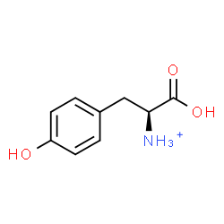 ChemSpider 2D Image | (1S)-1-Carboxy-2-(4-hydroxyphenyl)ethanaminium | C9H12NO3
