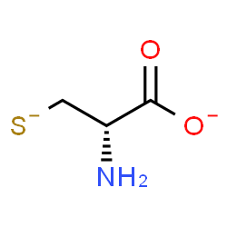 ChemSpider 2D Image | (2S)-2-Amino-3-sulfidopropanoate | C3H5NO2S