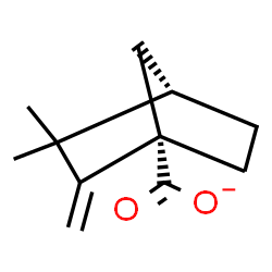 ChemSpider 2D Image | (1S,4S)-3,3-Dimethyl-2-methylenebicyclo[2.2.1]heptane-1-carboxylate | C11H15O2