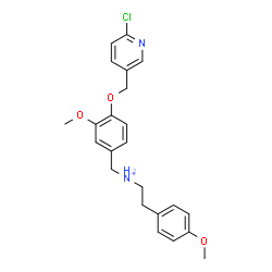 ChemSpider 2D Image | N-{4-[(6-Chloro-3-pyridinyl)methoxy]-3-methoxybenzyl}-2-(4-methoxyphenyl)ethanaminium | C23H26ClN2O3