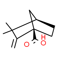 ChemSpider 2D Image | (1R,4R)-3,3-Dimethyl-2-methylenebicyclo[2.2.1]heptane-1-carboxylic acid | C11H16O2