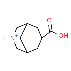 ChemSpider 2D Image | 7-Carboxy-3-azoniabicyclo[3.3.1]nonane | C9H16NO2